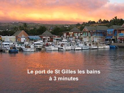 Prana Lodge Saint Gilles Les Bains 800 M De La Plage المظهر الخارجي الصورة